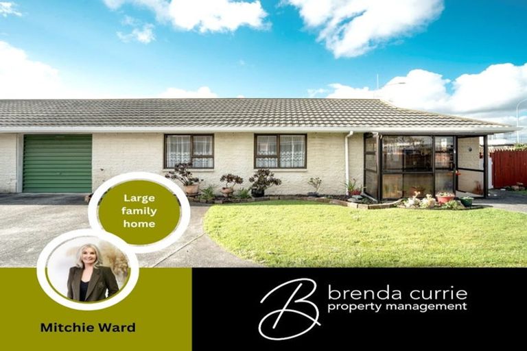 Photo of property in 115a College Street, Awapuni, Palmerston North, 4412