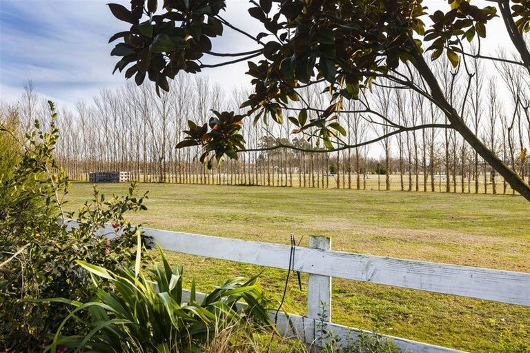Photo of property in 1468 Tram Road, Swannanoa, Rangiora, 7475