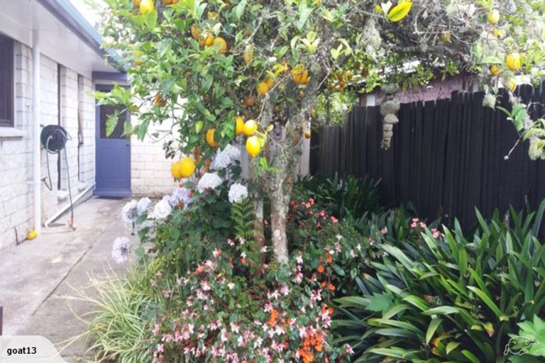 Photo of property in 84 Puriri Park Road, Maunu, Whangarei, 0110