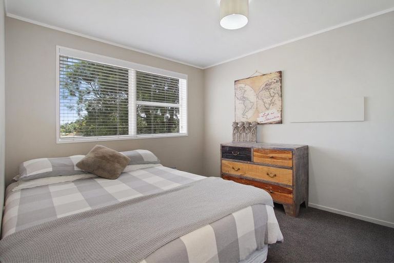 Photo of property in 550 Waiau Pa Road, Waiau Pa, Pukekohe, 2679