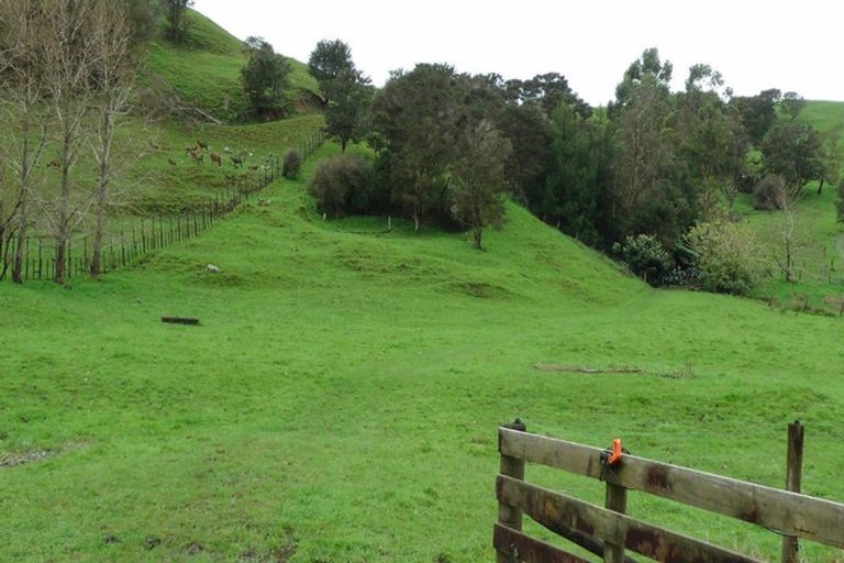 Photo of property in 103 Block Road, Hikutaia, Paeroa, 3674