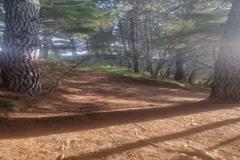 Photo of property in 2877 State Highway 30, Rotoma, Whakatane, 3192