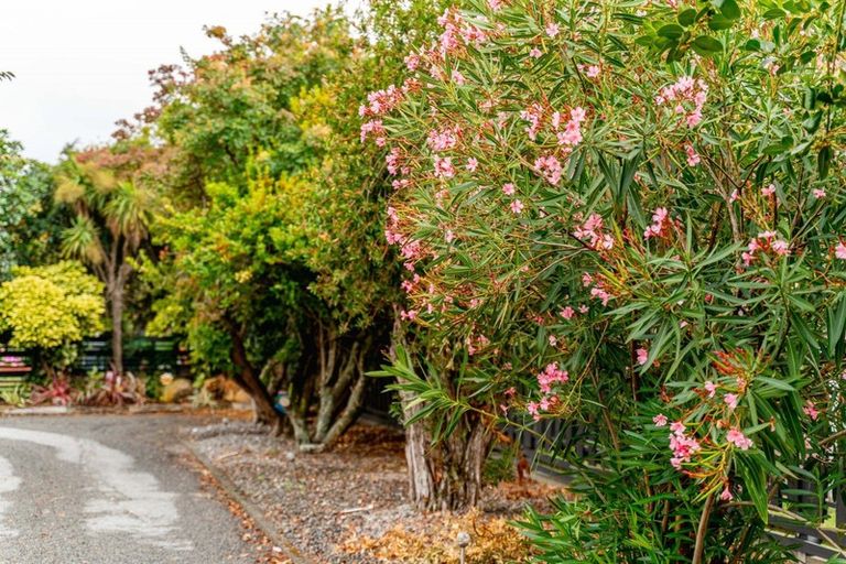 Photo of property in 246 High Street, Solway, Masterton, 5810