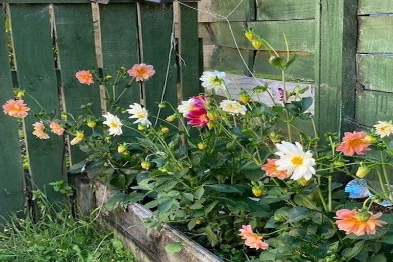 Photo of property in 3/46 Ngatoto Street, Ngaio, Wellington, 6035