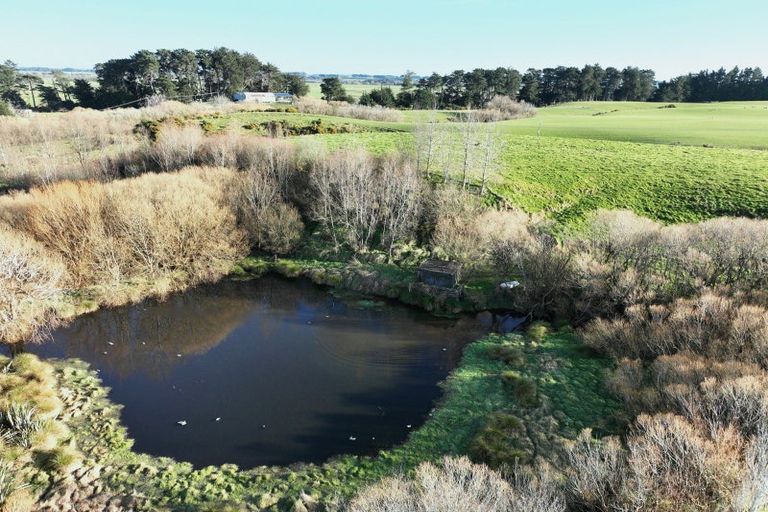 Photo of property in 221 Titiroa Pine Bush Road, Waimahaka, Wyndham, 9891