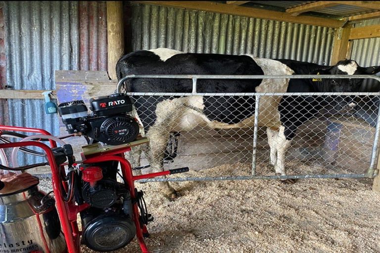 Photo of property in 116 Clifford Road, Eltham, 4322