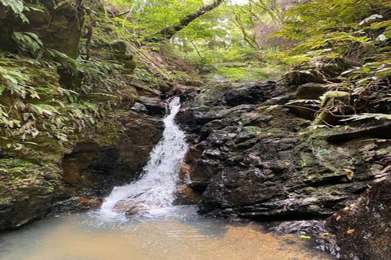 Photo of property in 127 Wilson Road, Hunua, Papakura, 2583