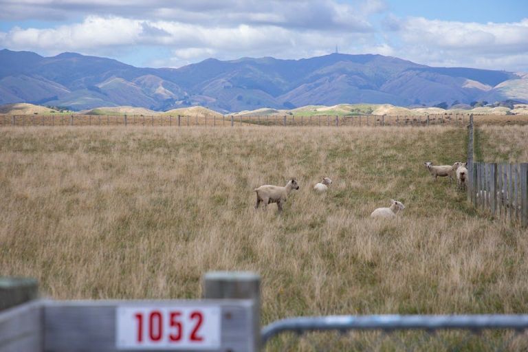 Photo of property in 1052 Taonui Road, Colyton, 4775