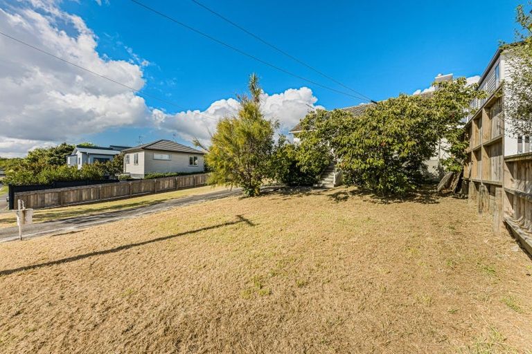 Photo of property in 80 Walmer Road, Point Chevalier, Auckland, 1022