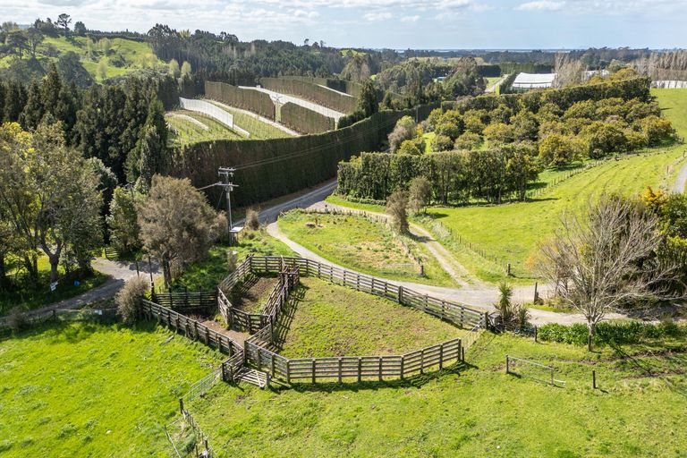 Photo of property in 231 Walford Road, Aongatete, Katikati, 3181