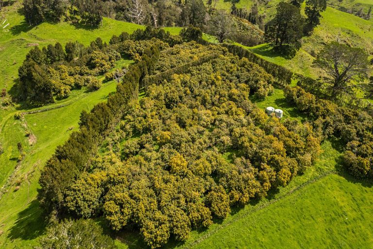 Photo of property in 231 Walford Road, Aongatete, Katikati, 3181