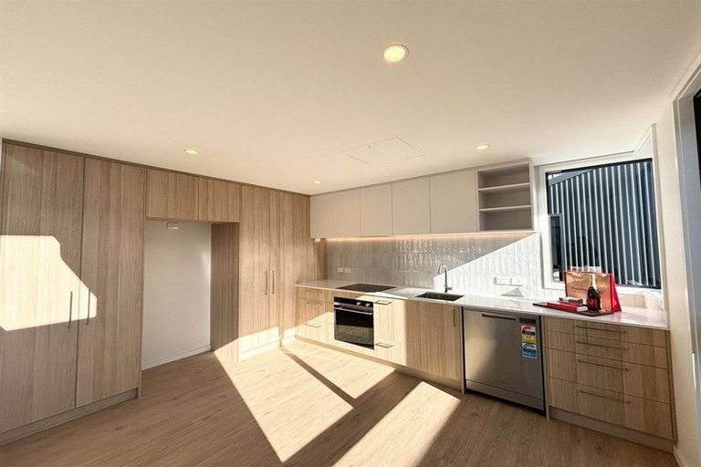 Photo of property in 58 Huanui Lane, Christchurch Central, Christchurch, 8011