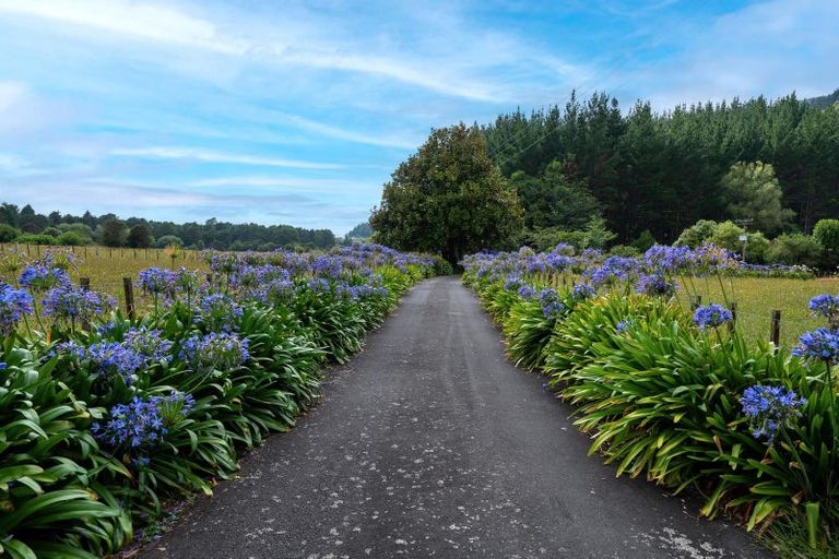 Photo of property in 1163 Paradise Valley Road, Ngongotaha Valley, Rotorua, 3072