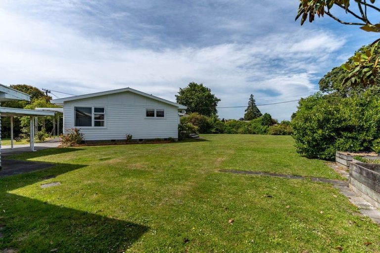 Photo of property in 77 Titoki Street, Lansdowne, Masterton, 5810