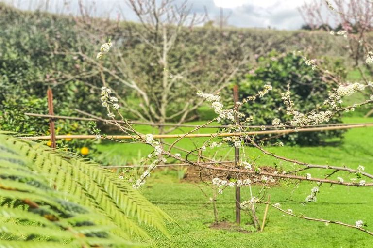 Photo of property in 21f Shepherd Road, Kerikeri, 0230