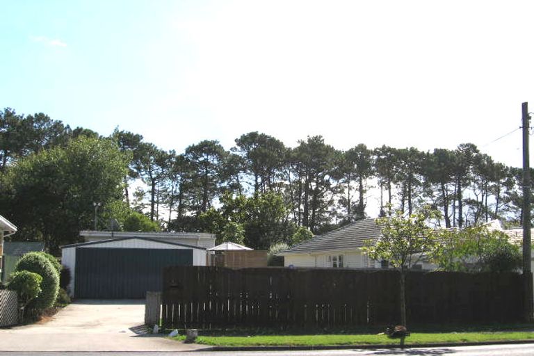 Photo of property in 153b Portage Road, New Lynn, Auckland, 0600