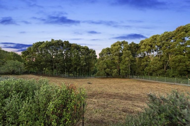 Photo of property in 91 Bagust Road, Rotokauri, Hamilton, 3289