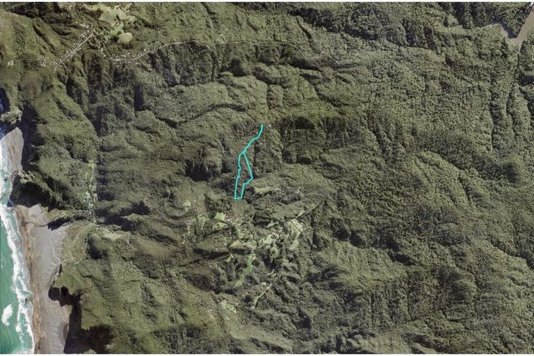 Photo of property in 14 La Trobe Track, Karekare, Auckland, 0772