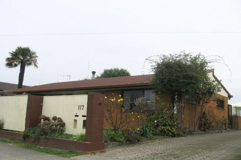 Photo of property in 117 Guppy Road, Taradale, Napier, 4112