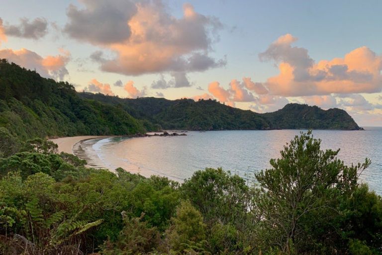 Photo of property in 125c Sailors Grave Road, Pumpkin Hill, Whitianga, 3591