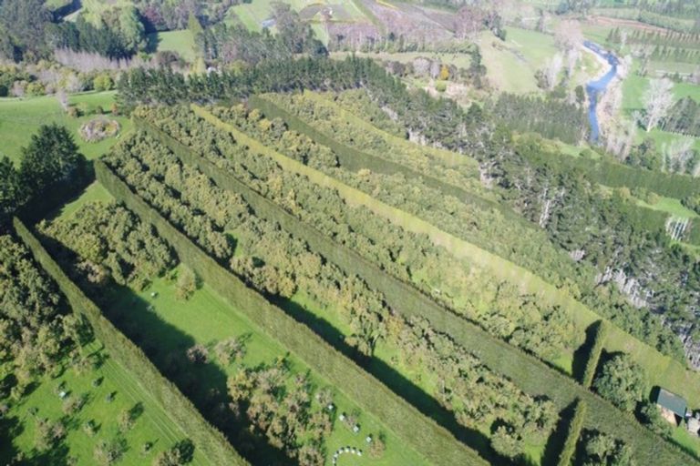 Photo of property in 168 Wright Road, Aongatete, Katikati, 3181