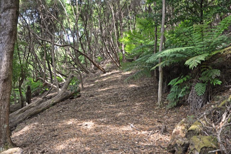 Photo of property in 4 Schoolhouse Bay Road, Kawau Island, 0920