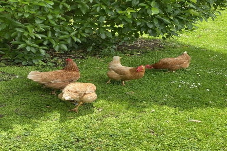 Photo of property in 1/74 Gillespies Road, Birchville, Upper Hutt, 5018