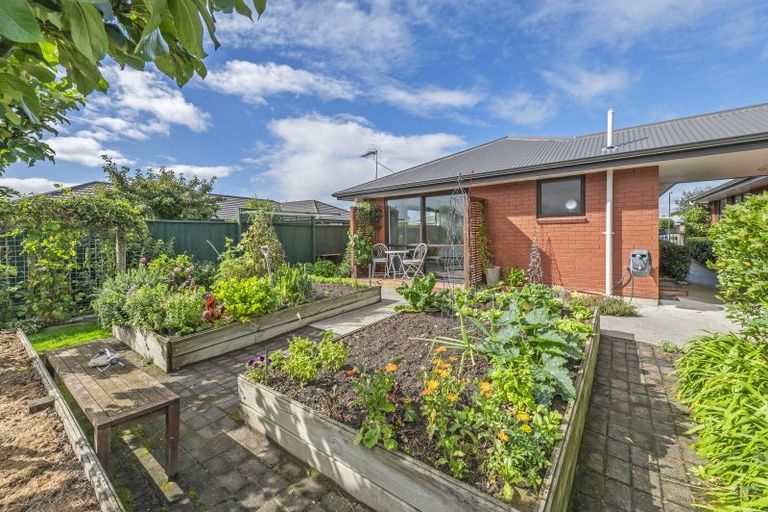 Photo of property in 11 Stanwood Grove, Darfield, 7510