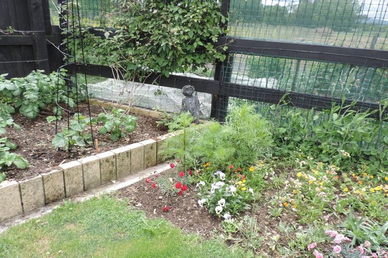 Photo of property in 23 Nikau Place, Matamata, 3400