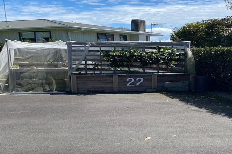 Photo of property in 22 Linklater Avenue, Bellevue, Tauranga, 3110