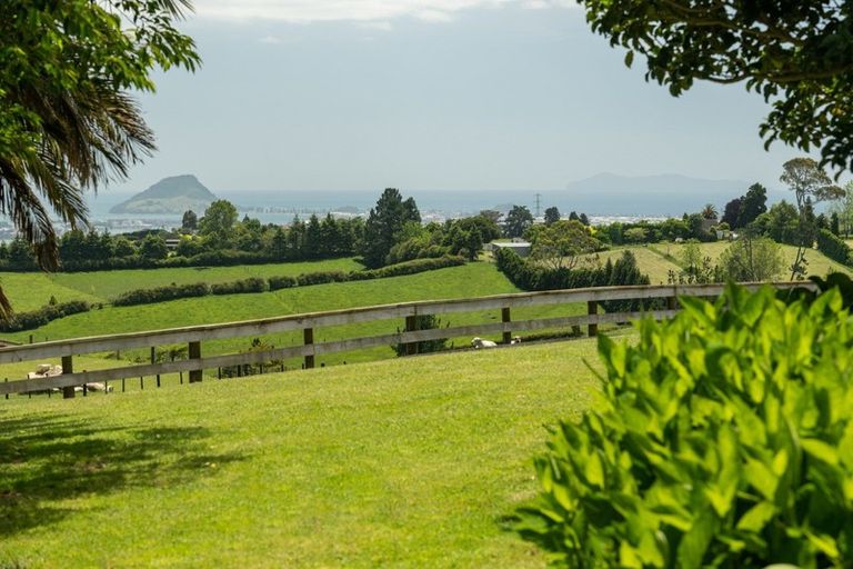 Photo of property in 11f Adrine Lane, Ohauiti, Tauranga, 3173