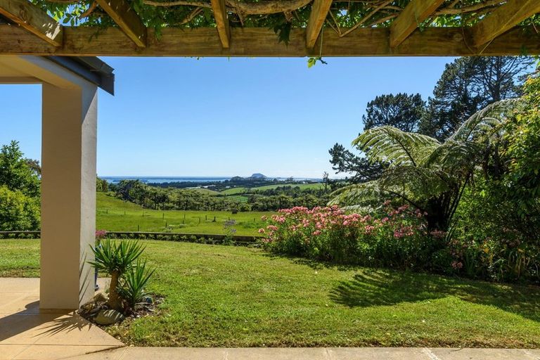 Photo of property in 200 Ross Road, Whakamarama, Tauranga, 3179