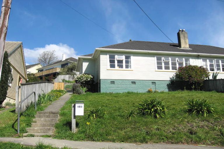 Photo of property in 103 Emano Street, Toi Toi, Nelson, 7010
