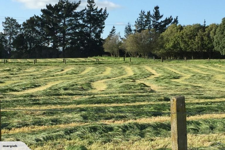 Photo of property in 121 Bolton Road, Morrinsville, 3371