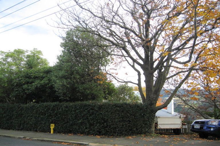 Photo of property in 121 Signal Hill Road, Opoho, Dunedin, 9010
