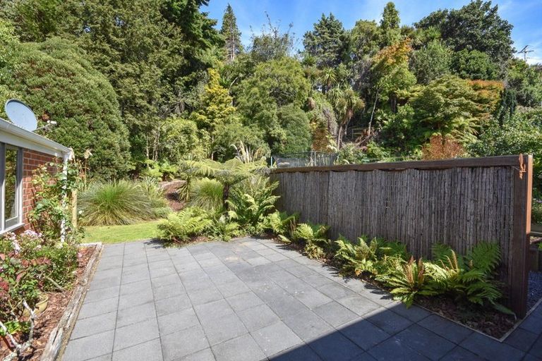 Photo of property in 325 Malvern Street, Glenleith, Dunedin, 9010
