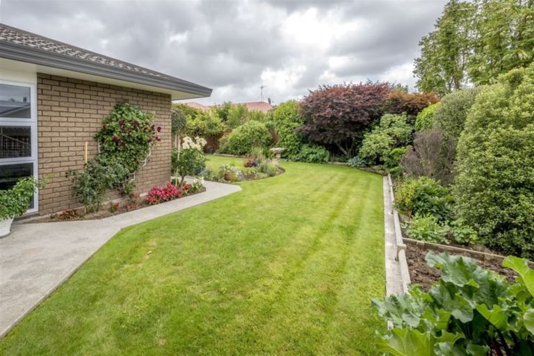 Photo of property in 9 Lynch Grove, Levin, 5510