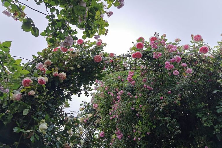 Photo of property in 37a Gillies Crescent, Waimarama, 4294