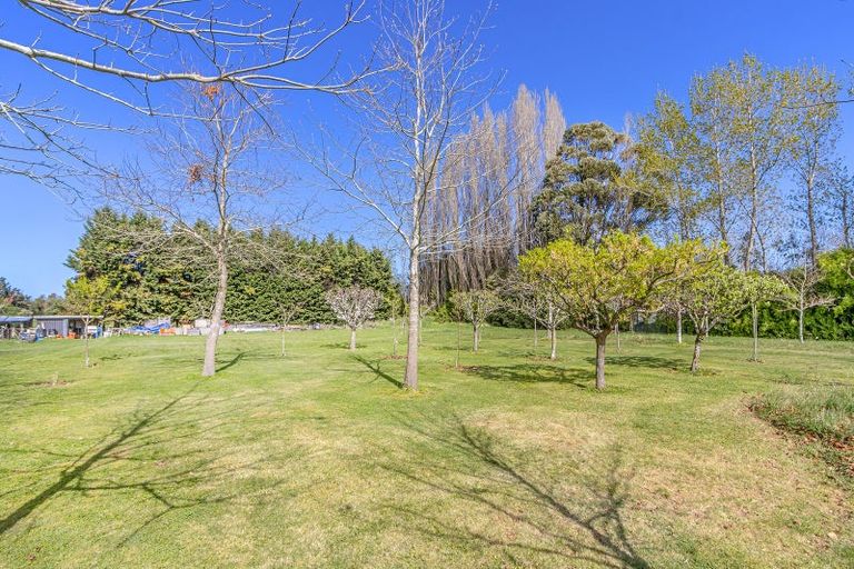 Photo of property in 519 Avonhead Road, Avonhead, Christchurch, 8042