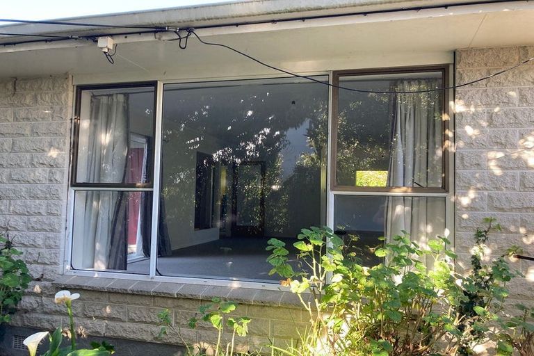 Photo of property in 46b Copeland Street, Hutt Central, Lower Hutt, 5011