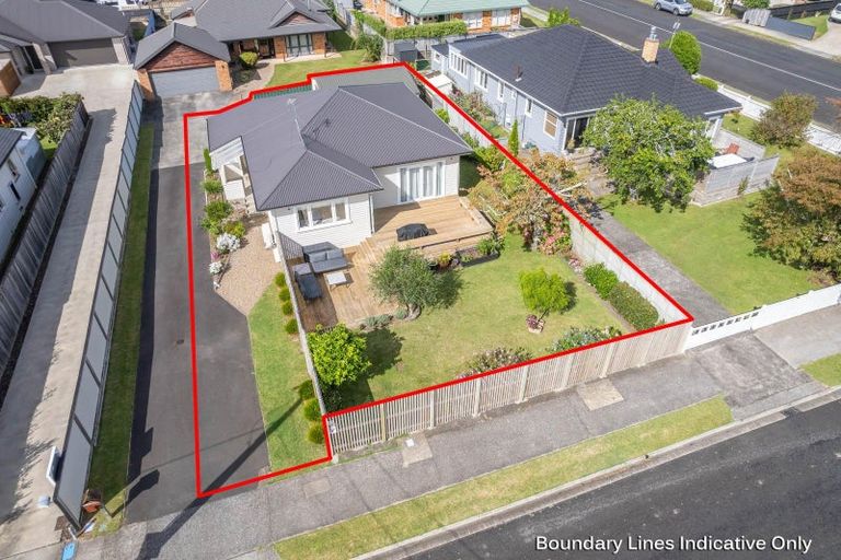 Photo of property in 488 Mandeno Street, Te Awamutu, 3800
