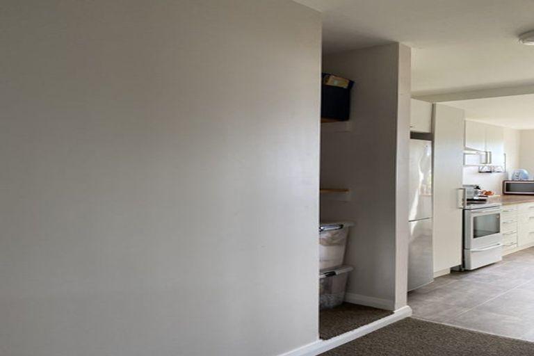 Photo of property in 162 The Ridgeway, Mornington, Wellington, 6021