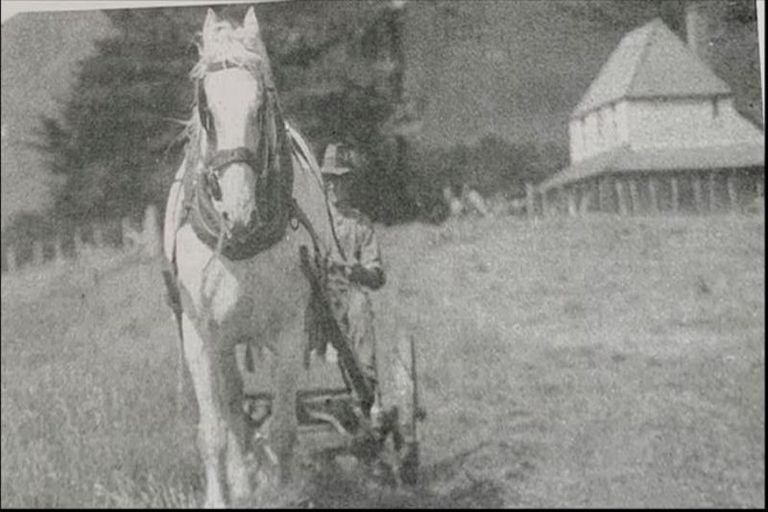 Photo of property in Daisy Hill Farm, 15 Truscott Avenue, Johnsonville, Wellington, 6037