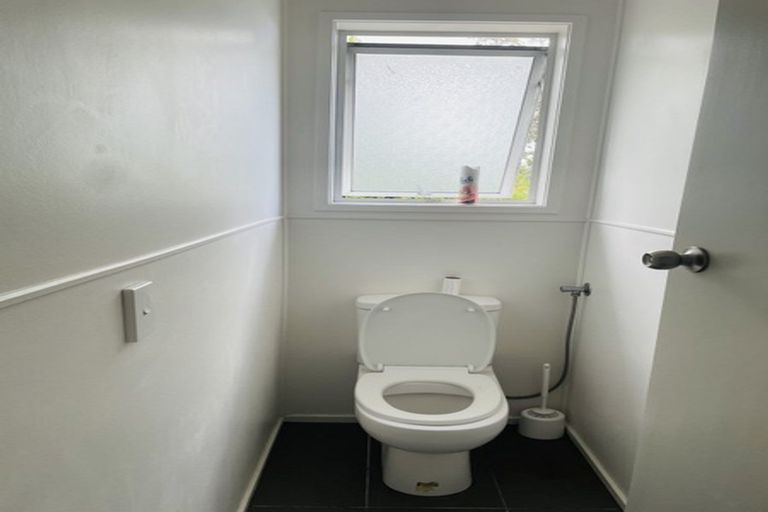 Photo of property in 117 Riverpark Crescent, Henderson, Auckland, 0610