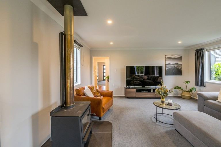 Photo of property in 90 Tiro Tiro Road, Levin, 5510