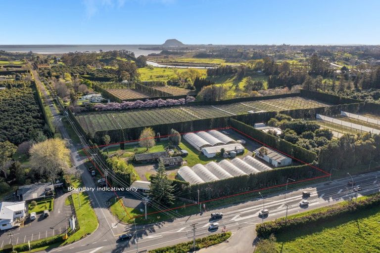 Photo of property in 8a Clarke Road, Te Puna, Tauranga, 3176