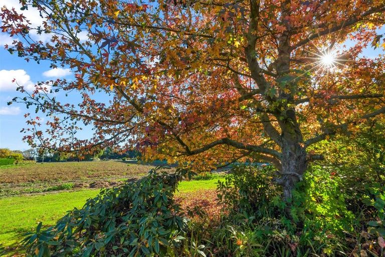 Photo of property in 768 Marshland Road, Ouruhia, Christchurch, 8083