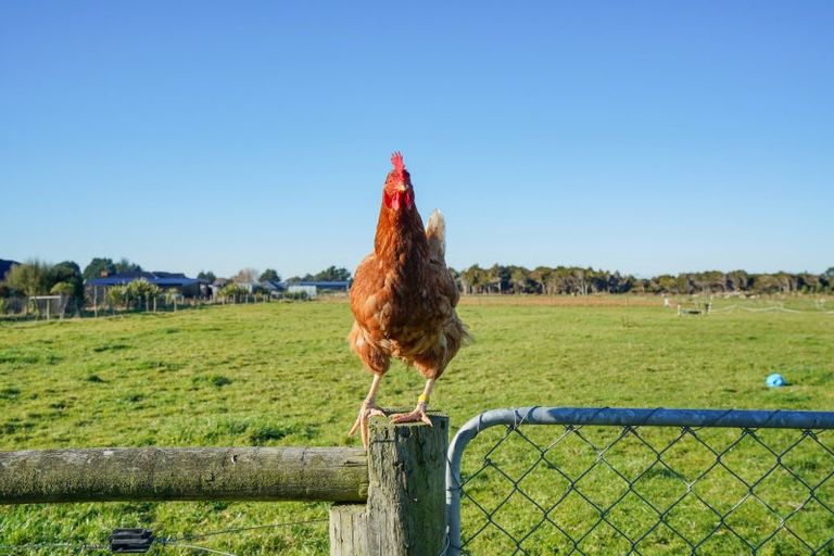 Photo of property in 143 Black Road, Otatara, Invercargill, 9879