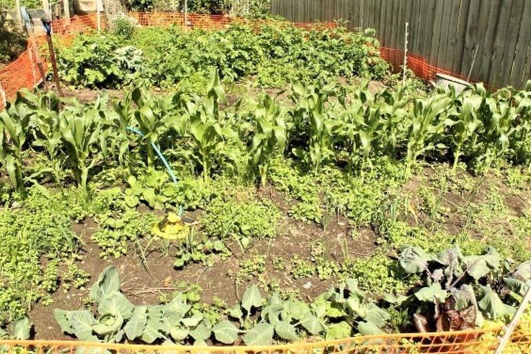 Photo of property in 2162 Herbert-hampden Road, Herbert, Oamaru, 9495