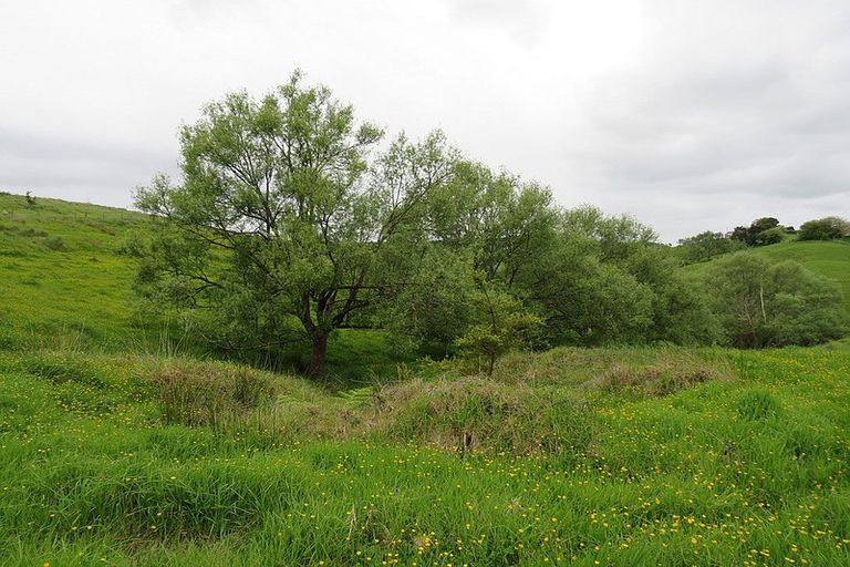 Photo of property in 289 Franklin Road, Paparoa, 0571